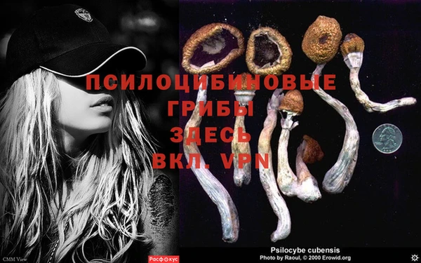 бутик Бородино