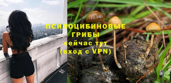 бутик Бородино