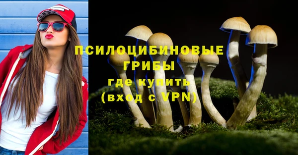 соль ск Бронницы