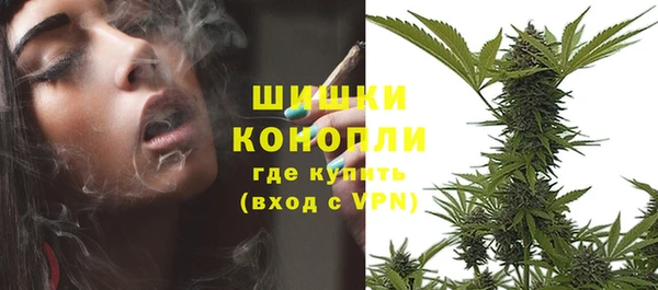 СК Верея
