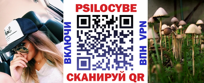 Псилоцибиновые грибы Psilocybine cubensis  darknet Telegram  Гатчина 